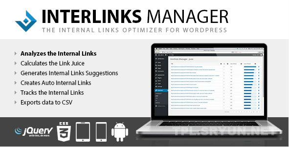 wordpress互连管理器中文版插件-Interlinks Manager 插件